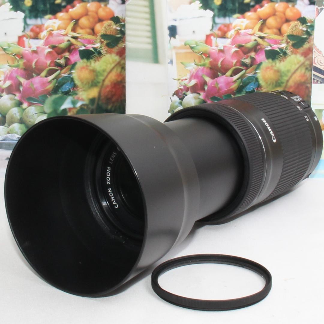 ❤️当店限定!!オマケ盛り沢山❤️Canon 55-250mm IS STM❤️ - メルカリ
