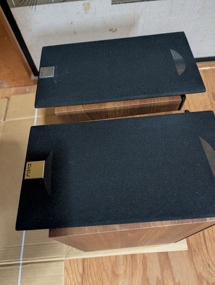 DALI ZENSOR 1 +カナレケーブル（4S8）3.8m×2本+プラグ8