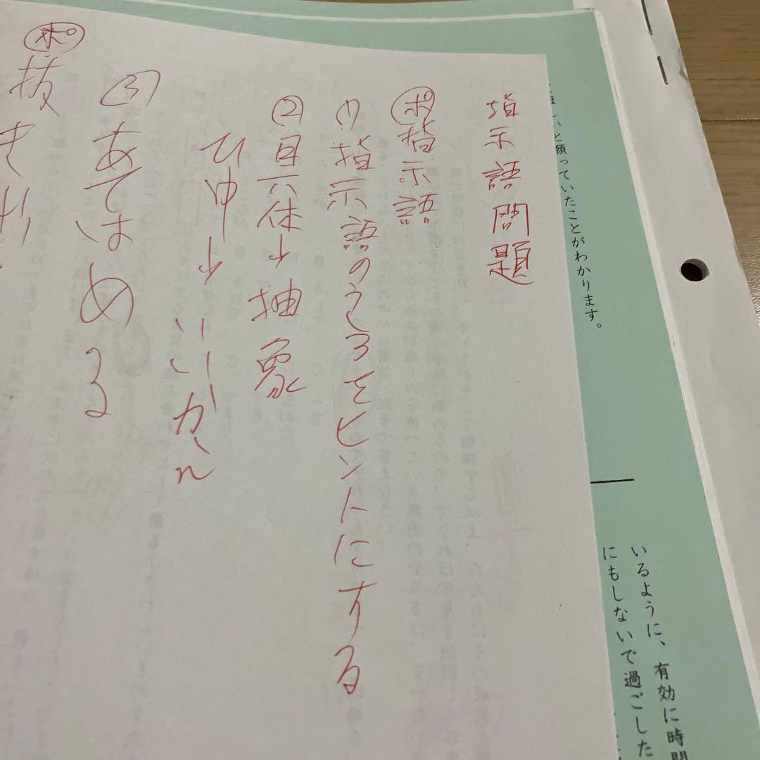 小6 正月特訓 国語 最難関対策プリント01、02、03 SAPIX - メルカリ