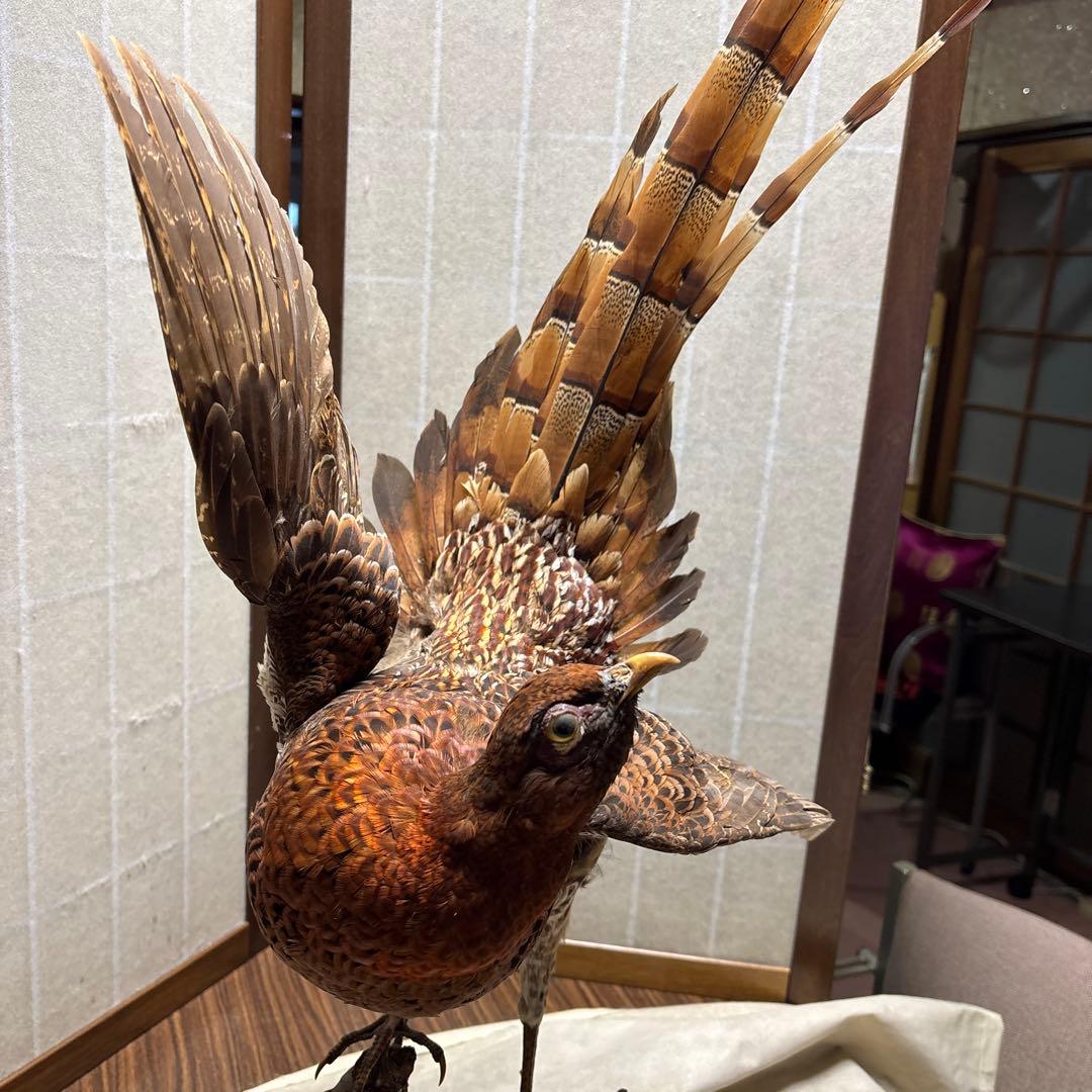 模造刀(居合刀)下緒無し 茶柄 鶴と波絵角丸鍔 鍔 丸透かし・黒 商品