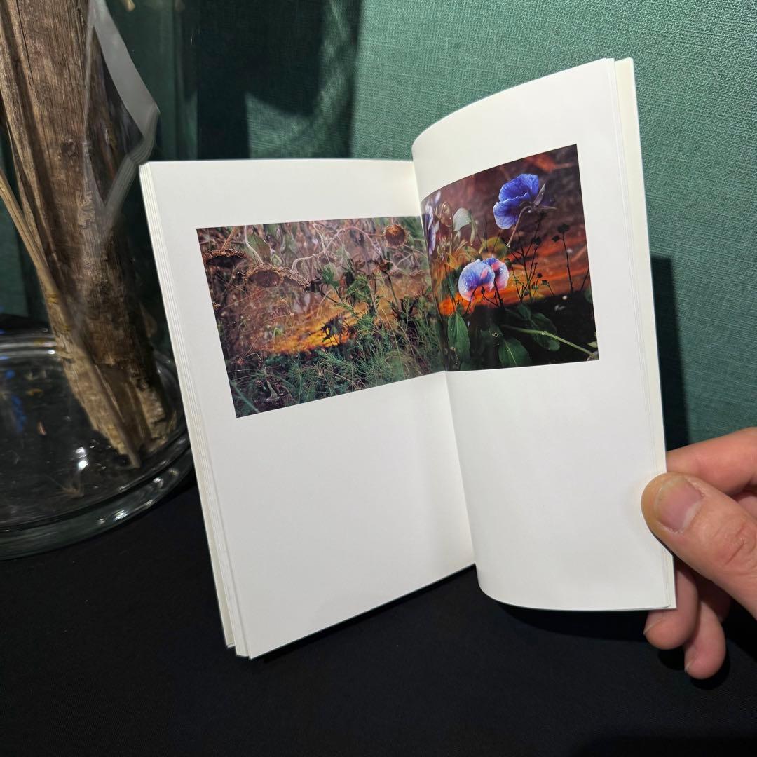 1998年発行800部限定ペーター・フィッシュリ/ダヴィッド・ヴァイス