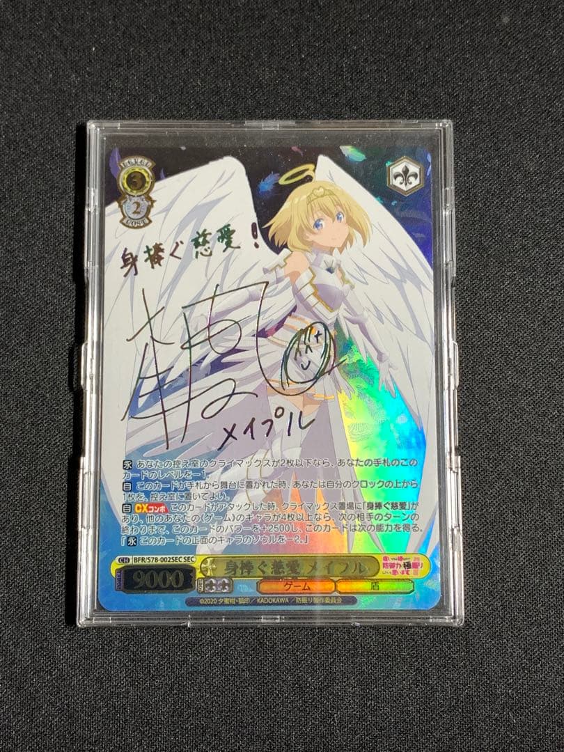 身捧ぐ慈愛 メイプル SEC 防振り