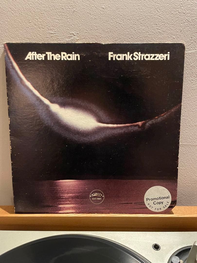Frank Strazzeri After The Rain LP プロモ盤 FRANK STRAZZERI / AFTER THE RAIN (LP) - HIP TANK RECORDS