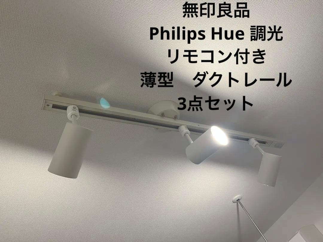 MUJI LEDスポットライト 小 3個　ダクトレール　無印　Philips MUJI 無印良品 MUJI システムライト・スポットライト3個セット ダクト