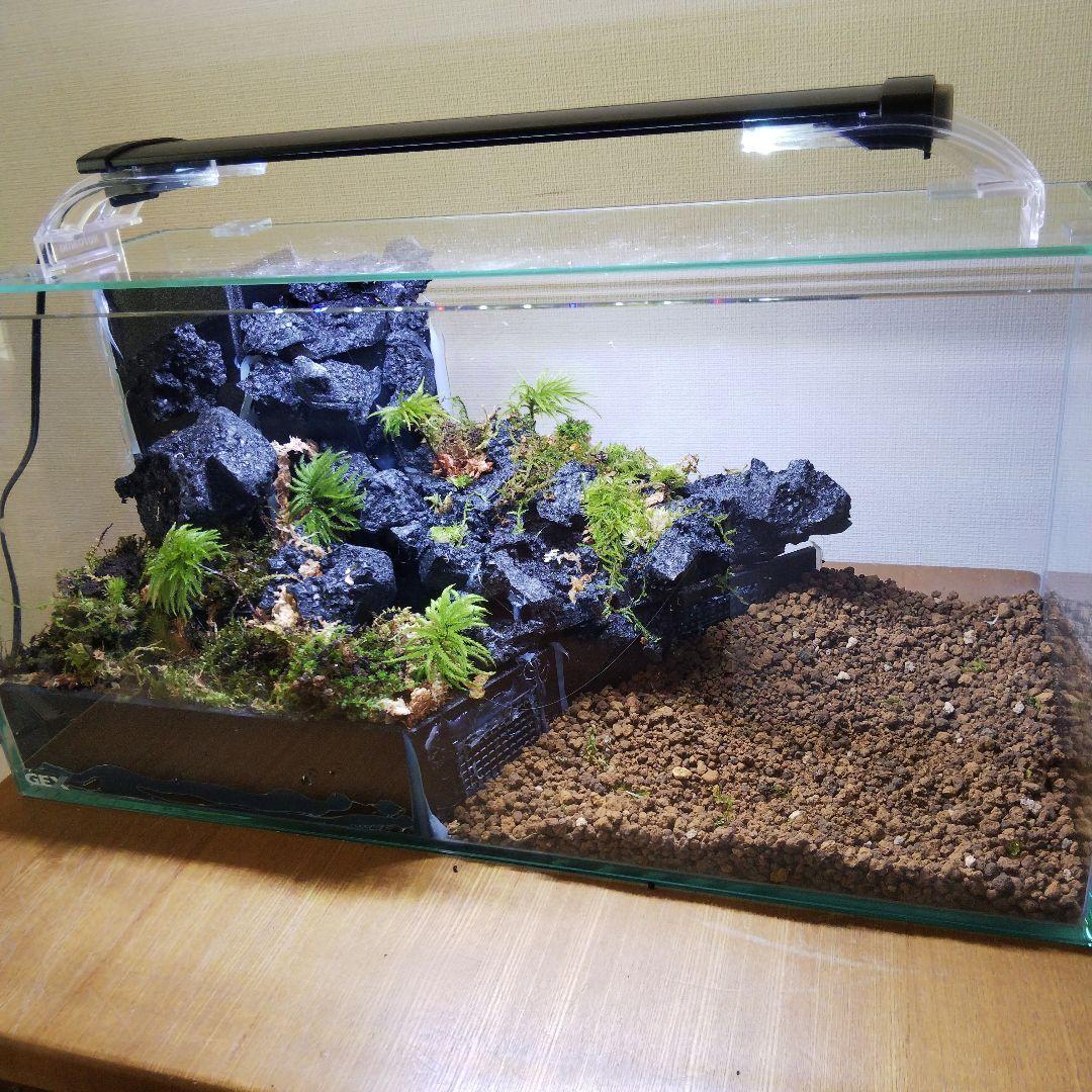 受注生産】滝のあるアクアテラリウム イモリウム 苔テラリウム アクア