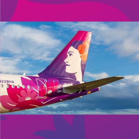 ハワイアン航空【大きな】ピンバッジ 76mm Hawaiian Airlines - メルカリ