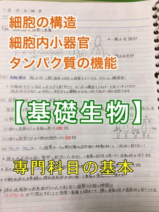 医療系学科定期試験、国家試験対策シリーズ【基礎生物】まとめノート