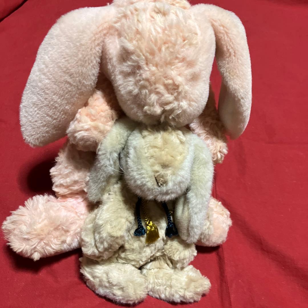 COMO ＆RAYコモ＆レイぬいぐるみ ウサギ ぬいぐるみ ロップイヤー