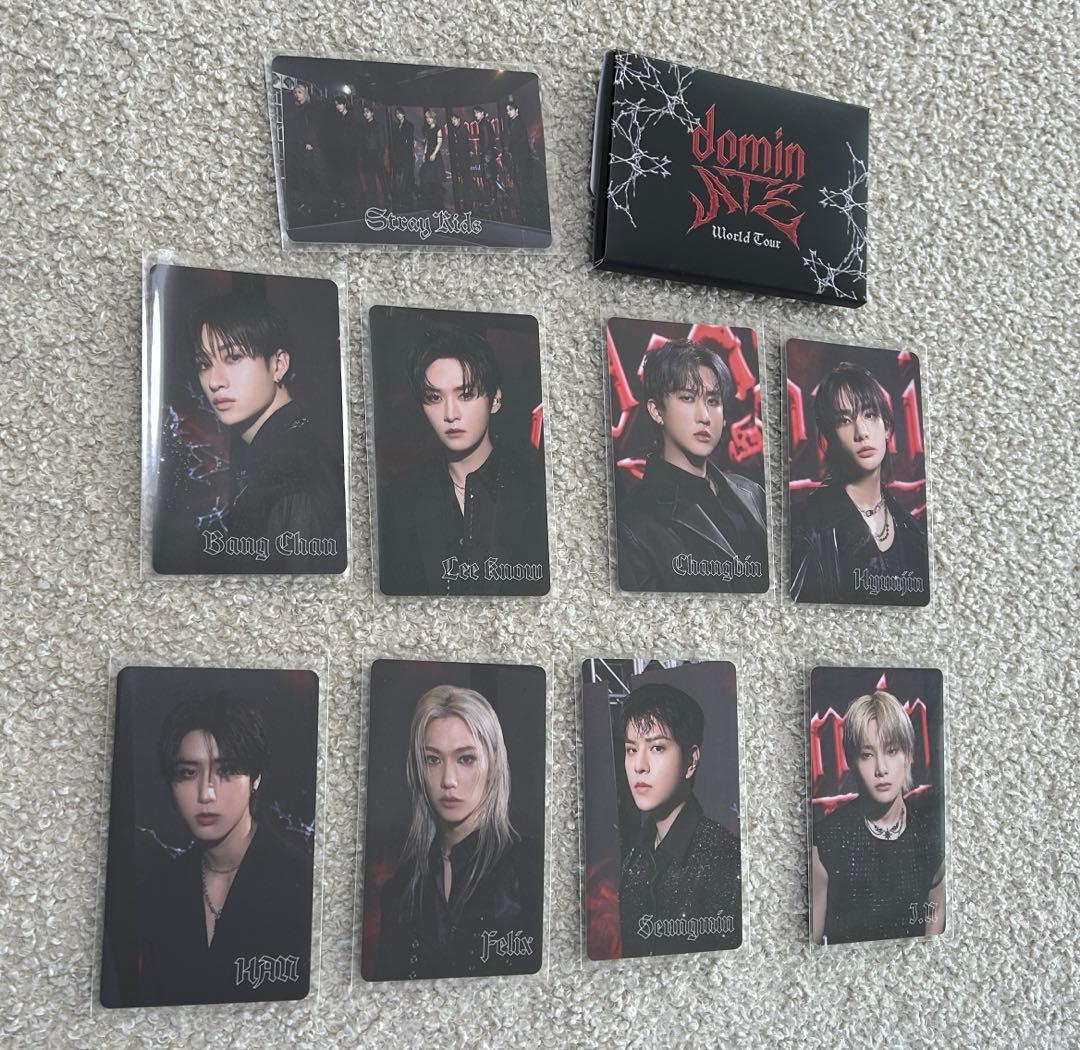 straykids dominATE tour アプグレ特典 - メルカリ