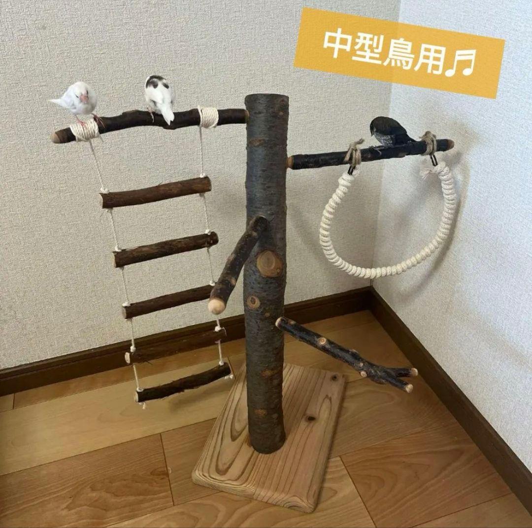 中型鳥さん用】眺めのいい♬バードスタンド＆桜の木バードアスレチック