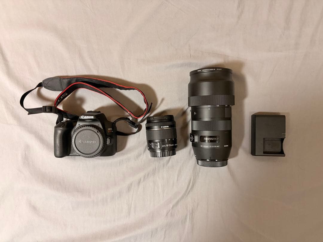 Canon EOS Kiss x10 一眼レフ SIGMA望遠レンズセット CANON EOS Kiss X10とシグマズームレンズ(18-300mm)の便利セット 一眼