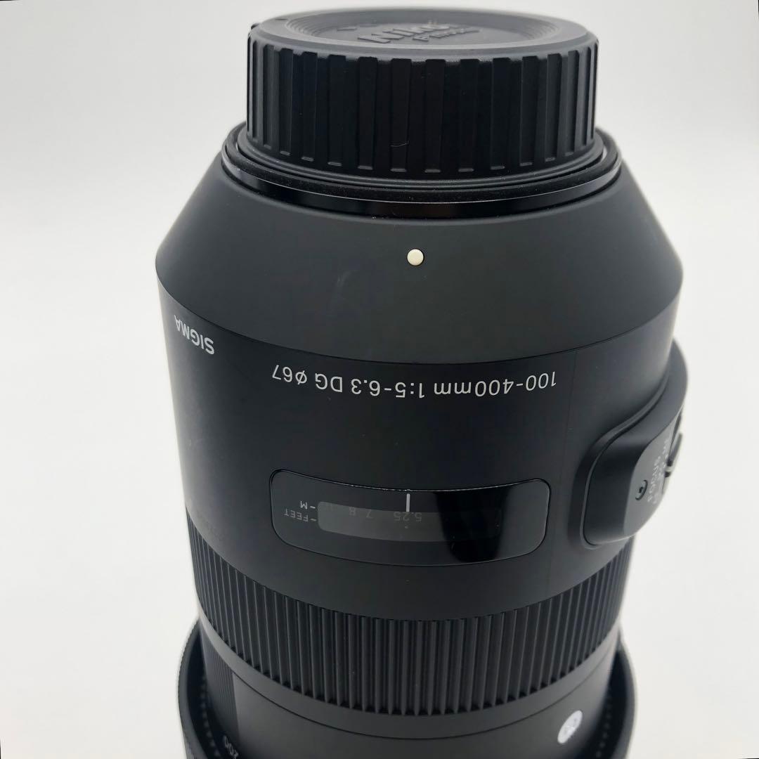 R シグマ　レンズ　SIGMA 100-400mm f/5-6.3 DG