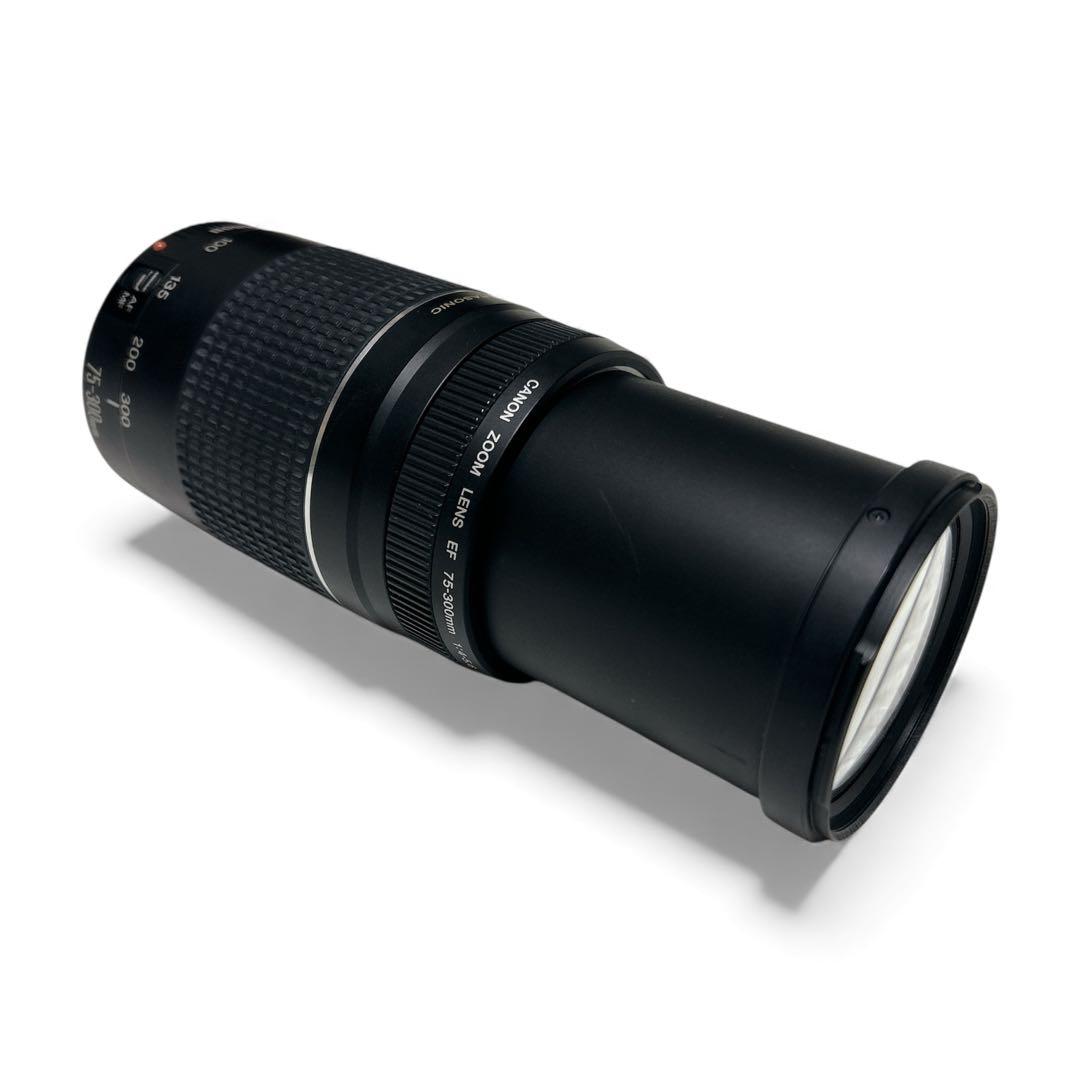 Canon EF 75-300mm f/4-5.6 III USM ズームレンズ