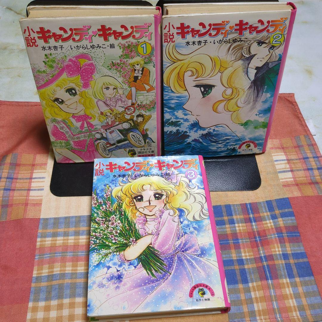 小説キャンディキャンディ 全3巻 水木杏子 いがらしゆみこ 初版 - メルカリ