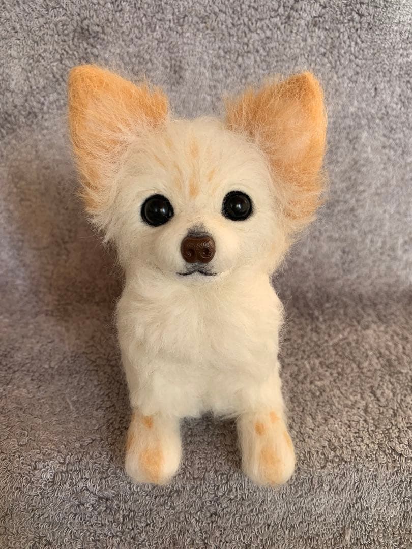 ⭐️あずき様専用オーダー・羊毛フェルト犬・伏せポーズチワワちゃん