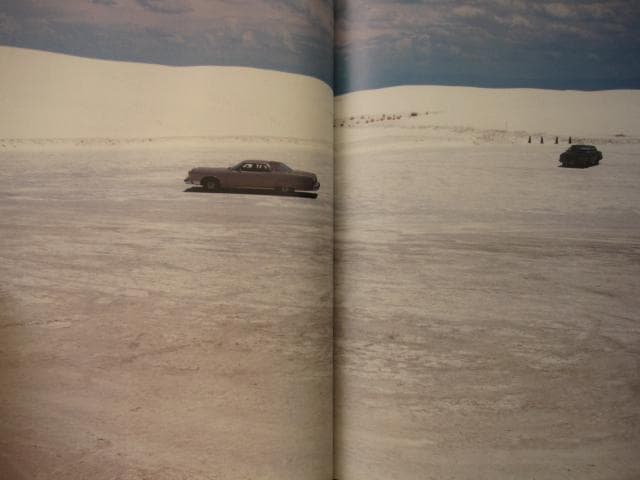 Free for All Shingo Wakagi 若木信吾 オンライン ショッピ