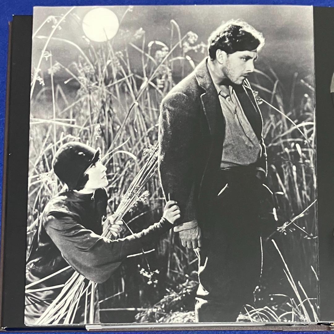 FW ムルナウ + フランク・ボーゼイギ DVD ボックスセット【廃盤希少】