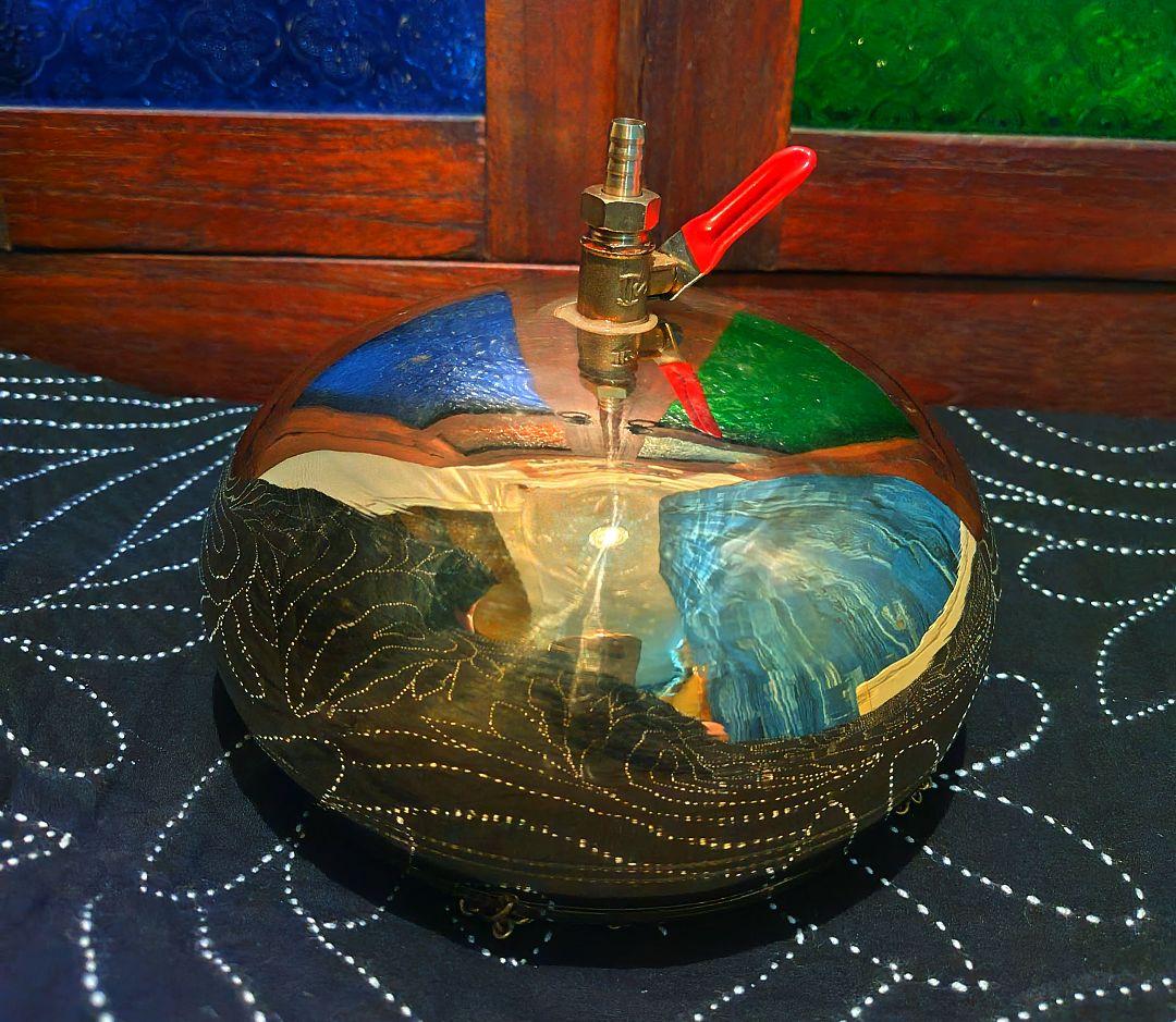 m 様フォロー割お値段♢30♢ シロダーラ ポット 約1．5㍑ ×