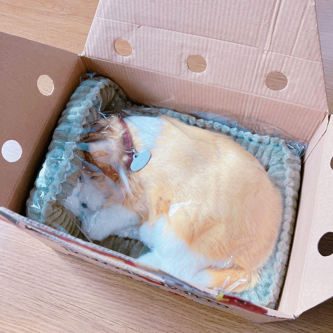 新品】 ニニアンドキノ パーフェクトペット コリー 小型犬 リアル 動物