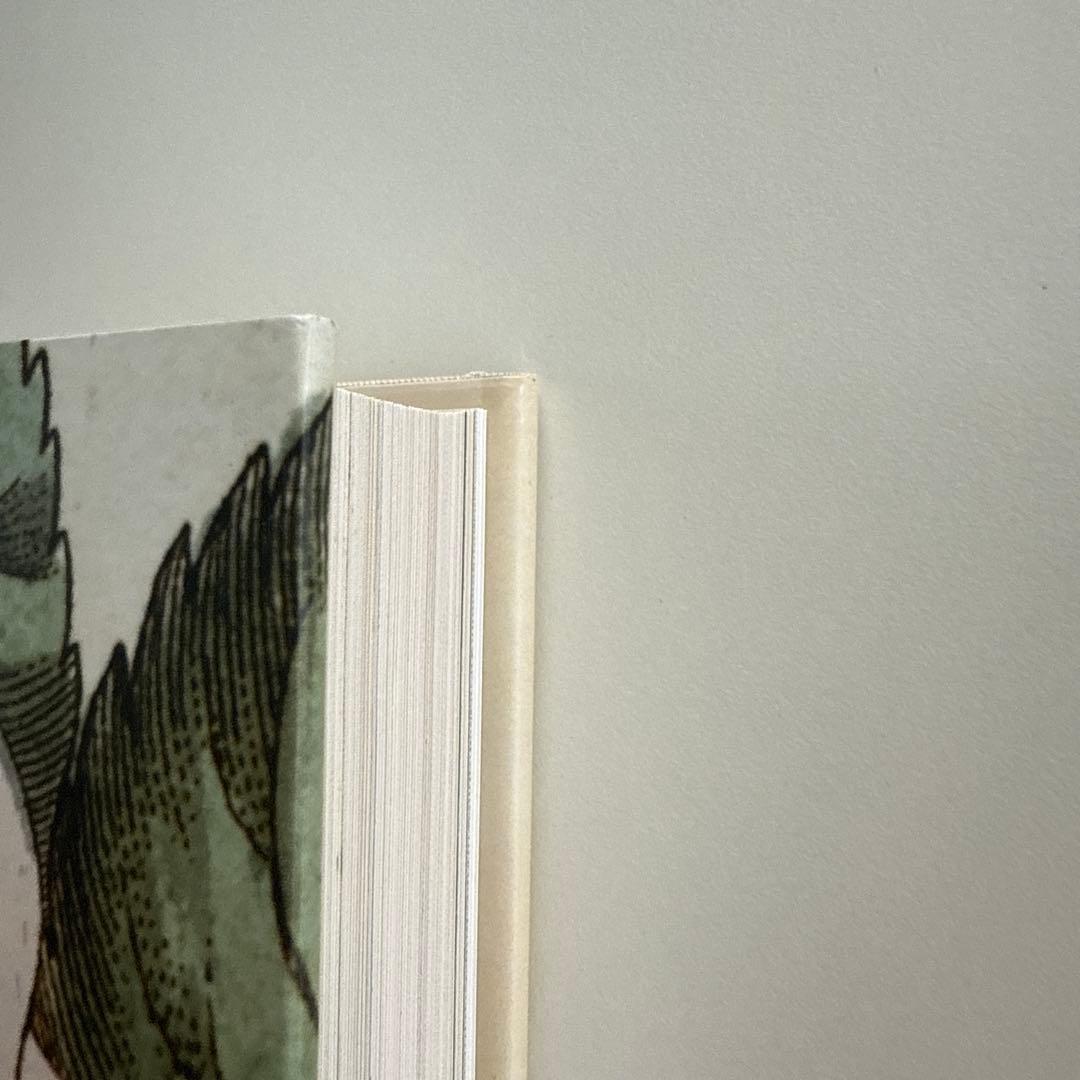 【最終お値下げ10/5本日までの特価です】ジョンデリアン ピクチャーブックII