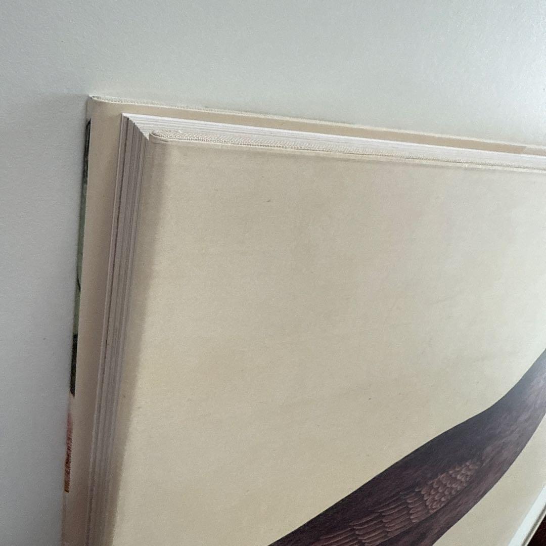 【最終お値下げ10/5本日までの特価です】ジョンデリアン ピクチャーブックII