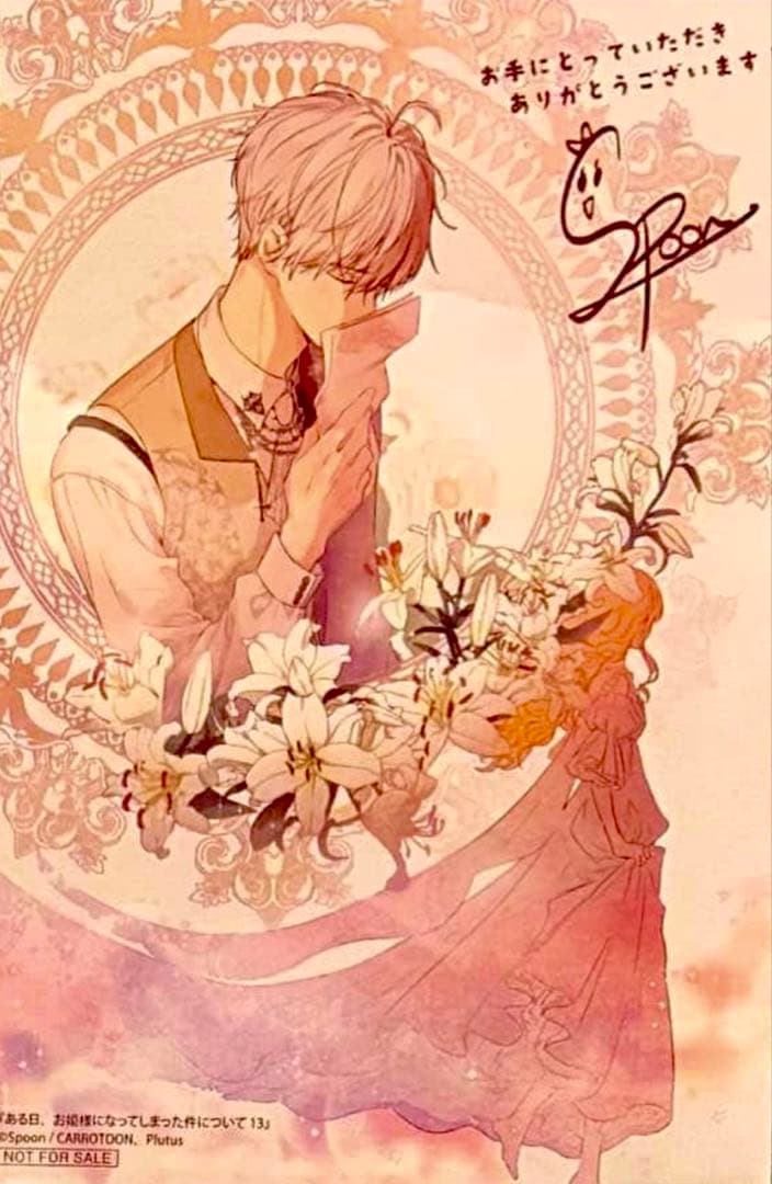 特典のみ ある日、お姫様になってしまった件について 13巻 イラスト