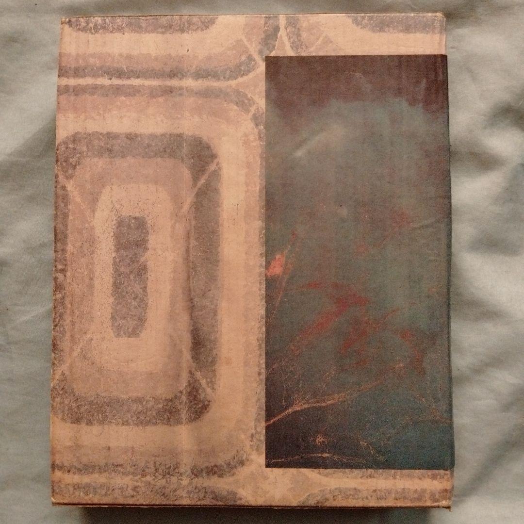 春光乍洩・happy together ブエノスアイレス 限定写真集 - メルカリ