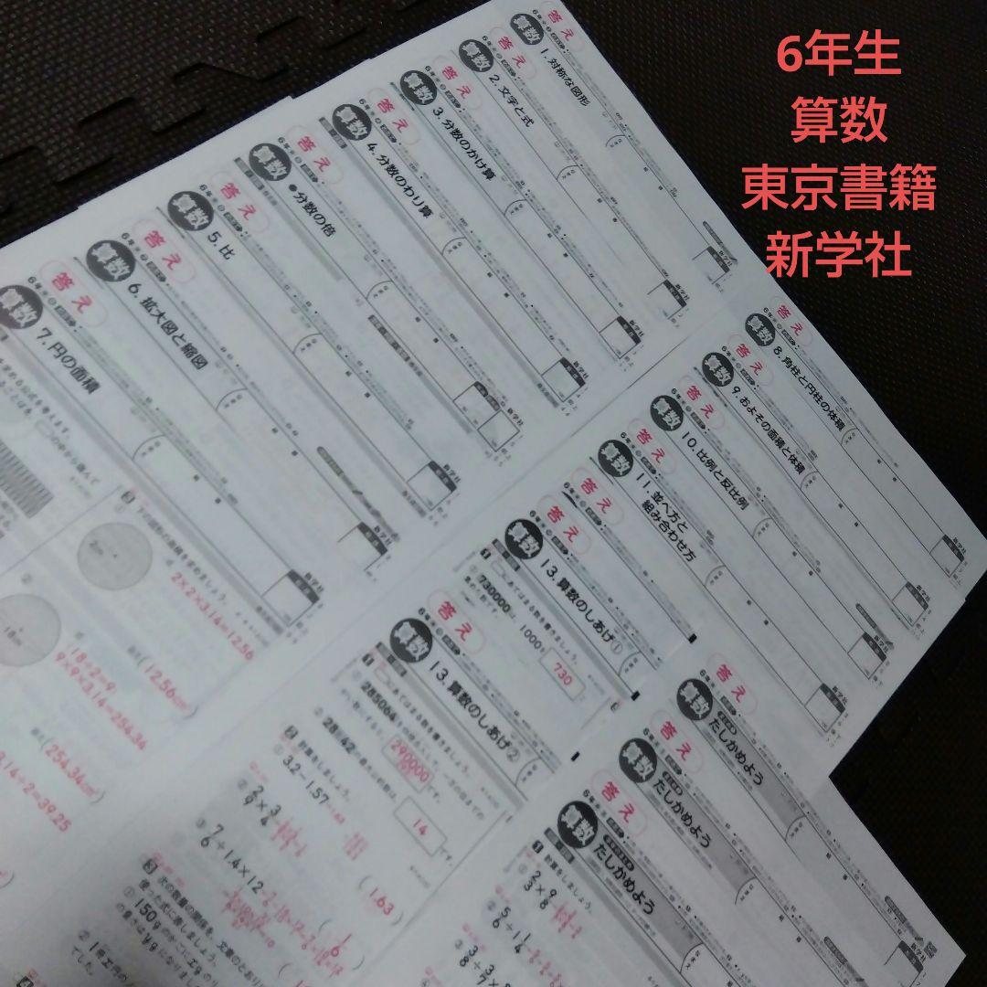 6年生 算数 カラーテスト 新学社 18枚 - メルカリ