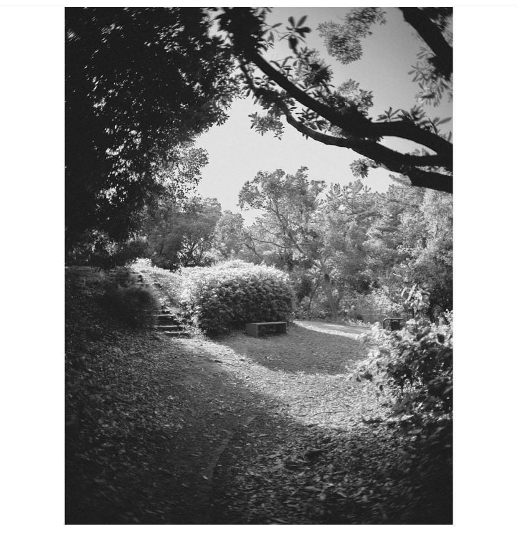 シュナイダー25/0.95 Xenon Schneider -Kreuznach