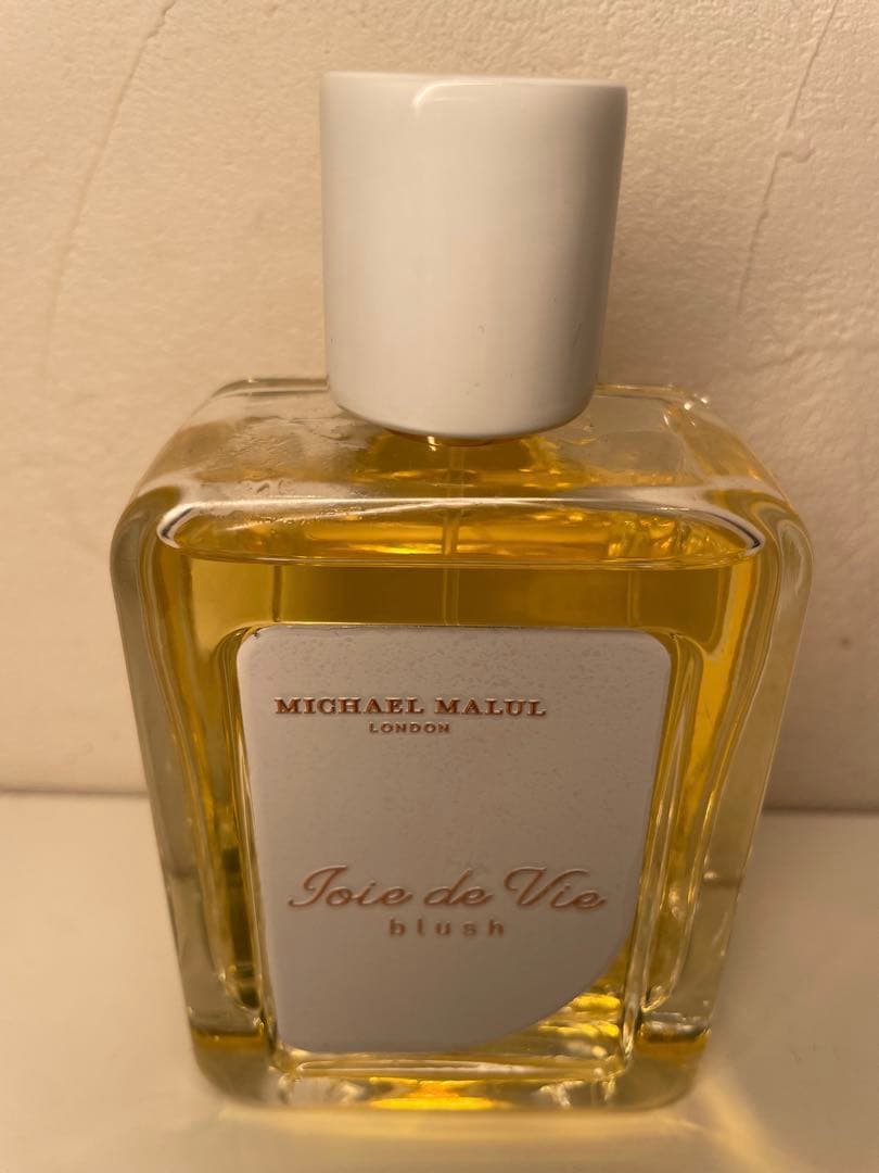 【試し使いのみ】JoieDeVieBlush by Michael Malul