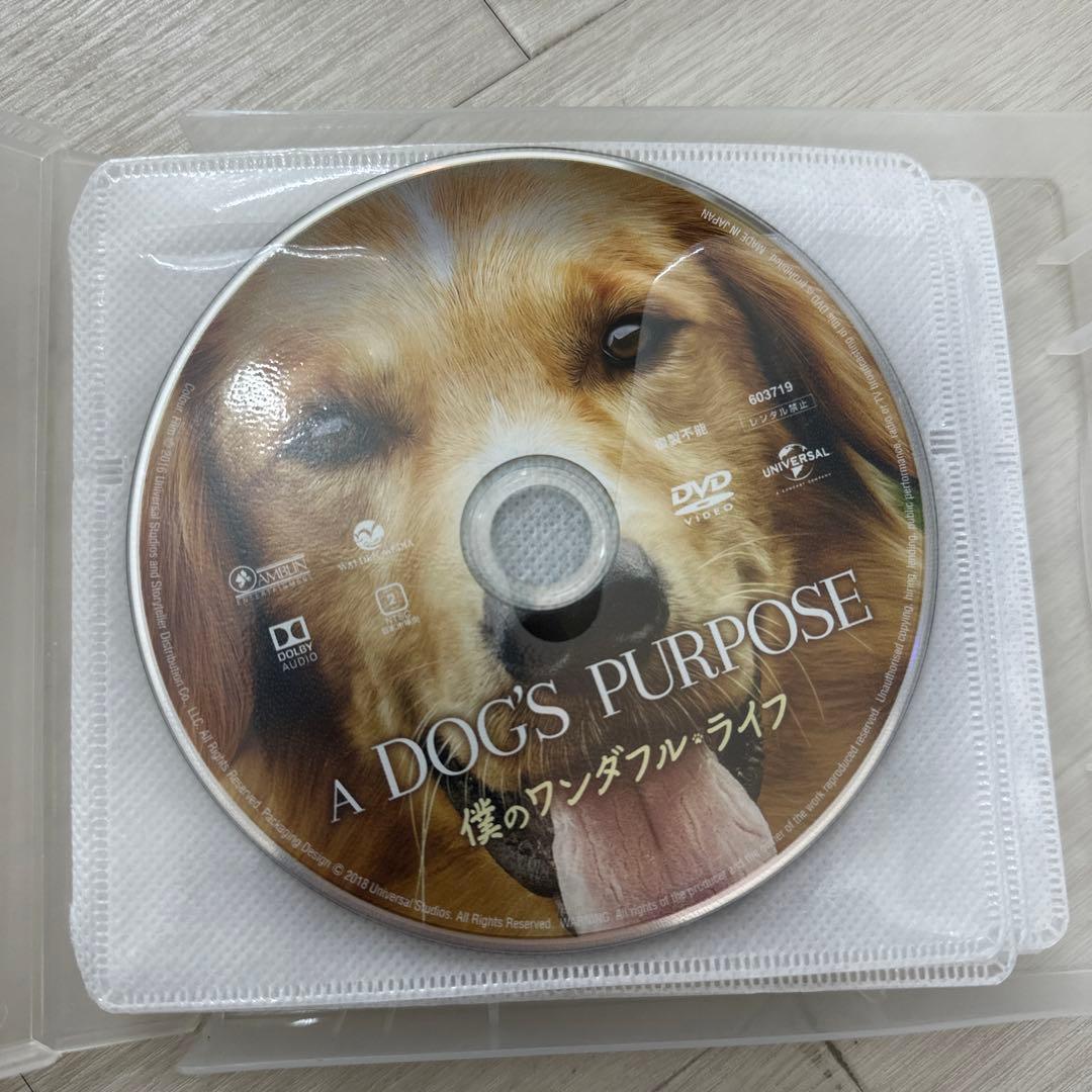 DVD まとめ売り バラ売り