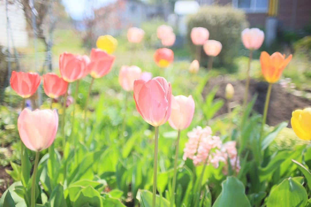 《希少》KINO PRECISION KIRON 28mm F2 MC【良品】