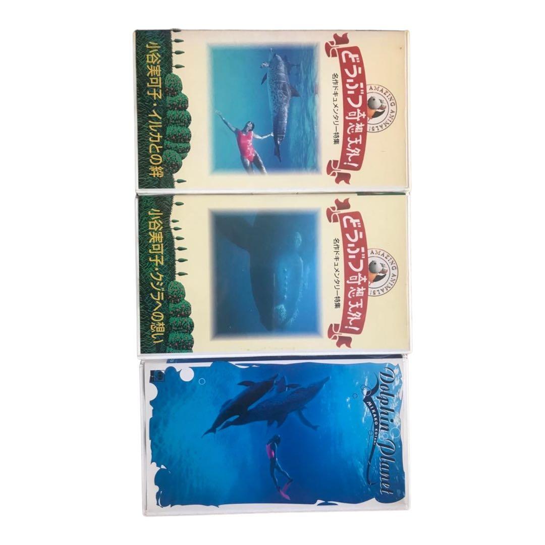 小谷実可子　ビデオセット 実可子伝説・小谷実可子写真集 ｜古本買取ブックセンター