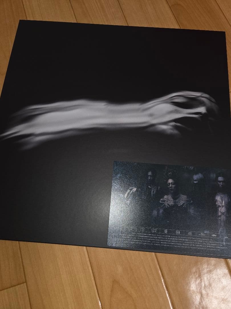 DIR EN GREY 落ちた事のある空 ぴあアリーナMM特別仕様