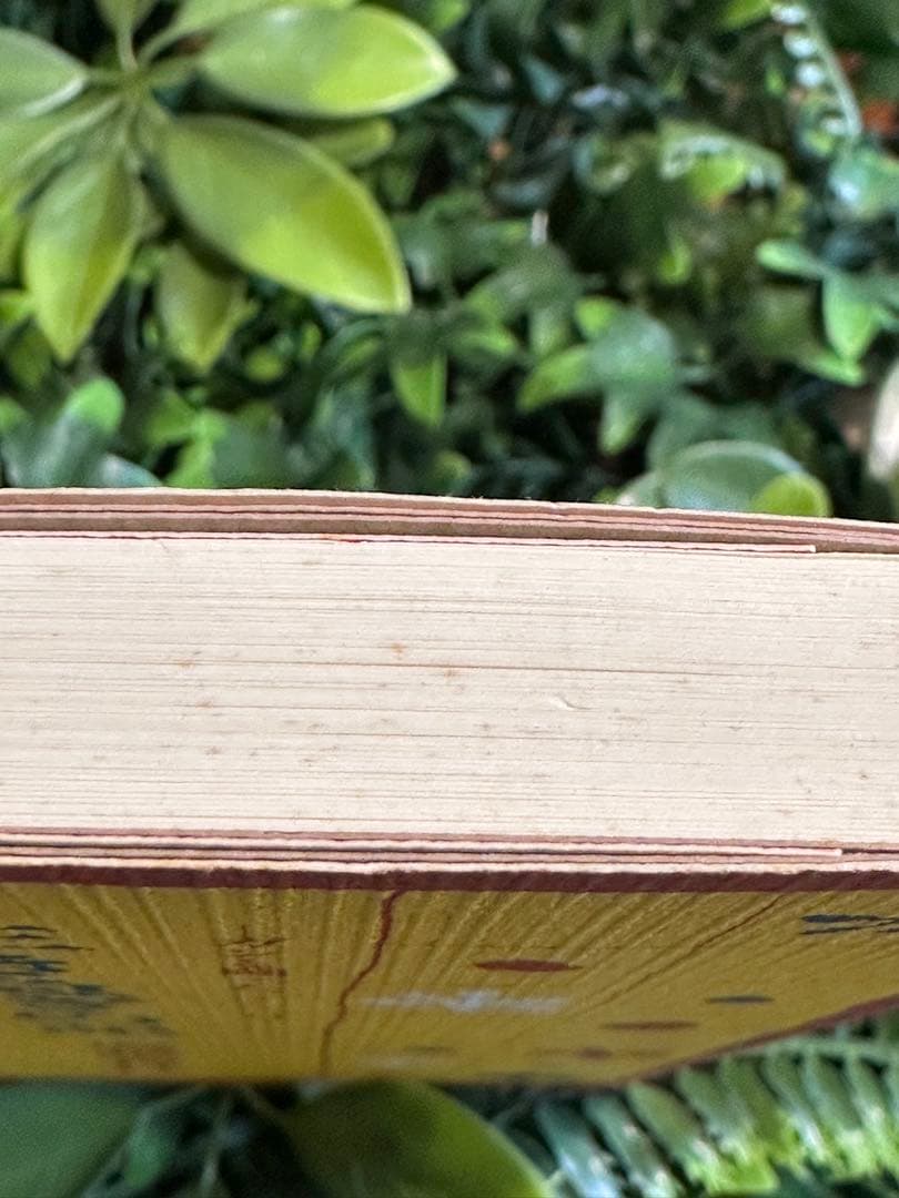 生きることの記 堀越富江著