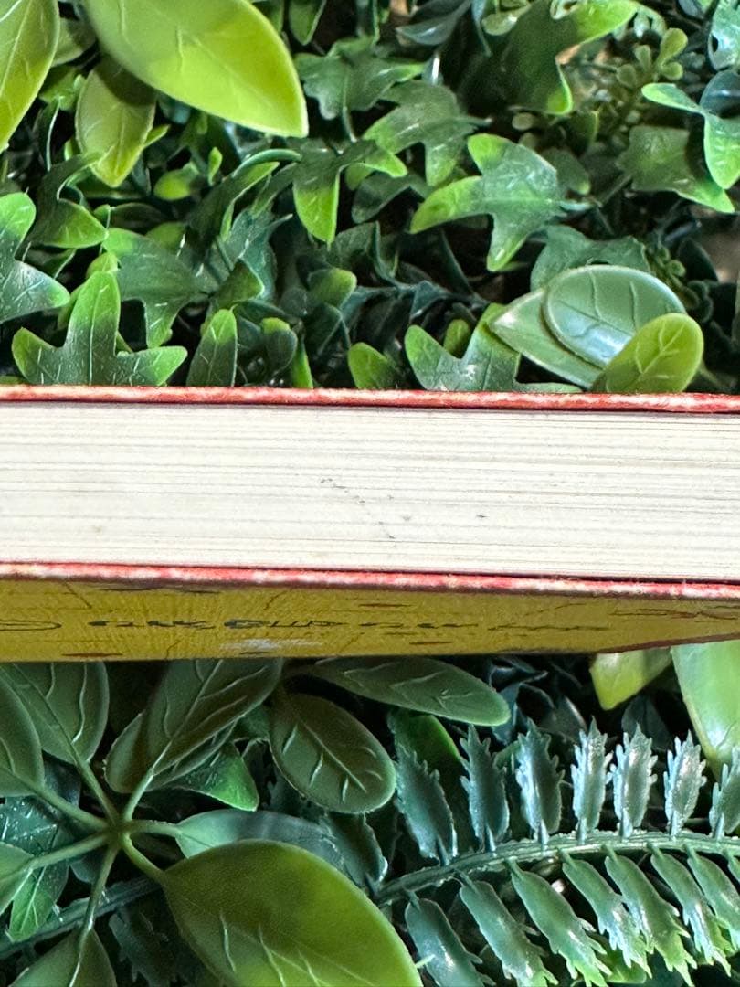 生きることの記 堀越富江著