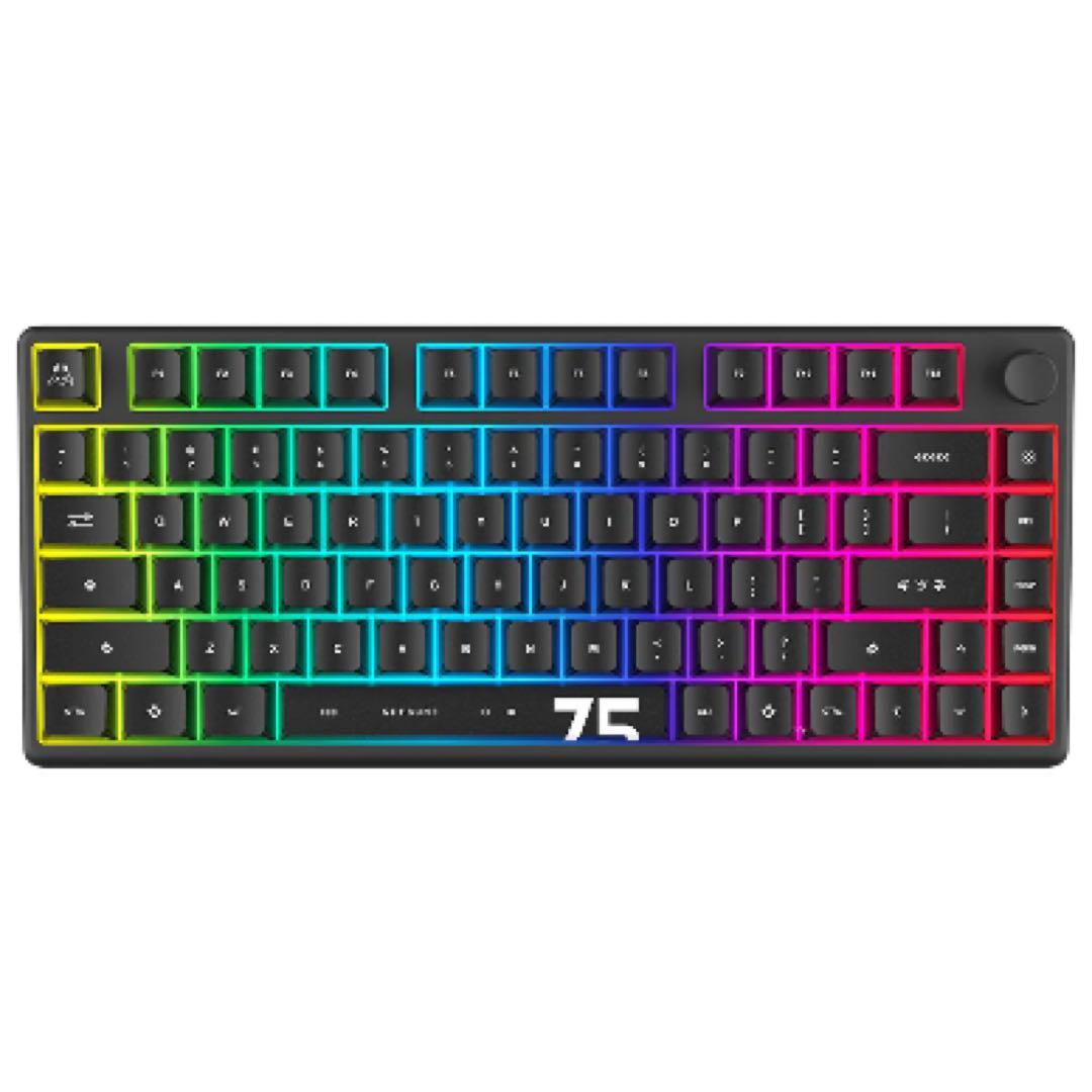 TENKO POLAR 75 RGBキーボード TENKO® - Polar 75+ HE Magnetic Gaming Keyboard – Arbiter Studio