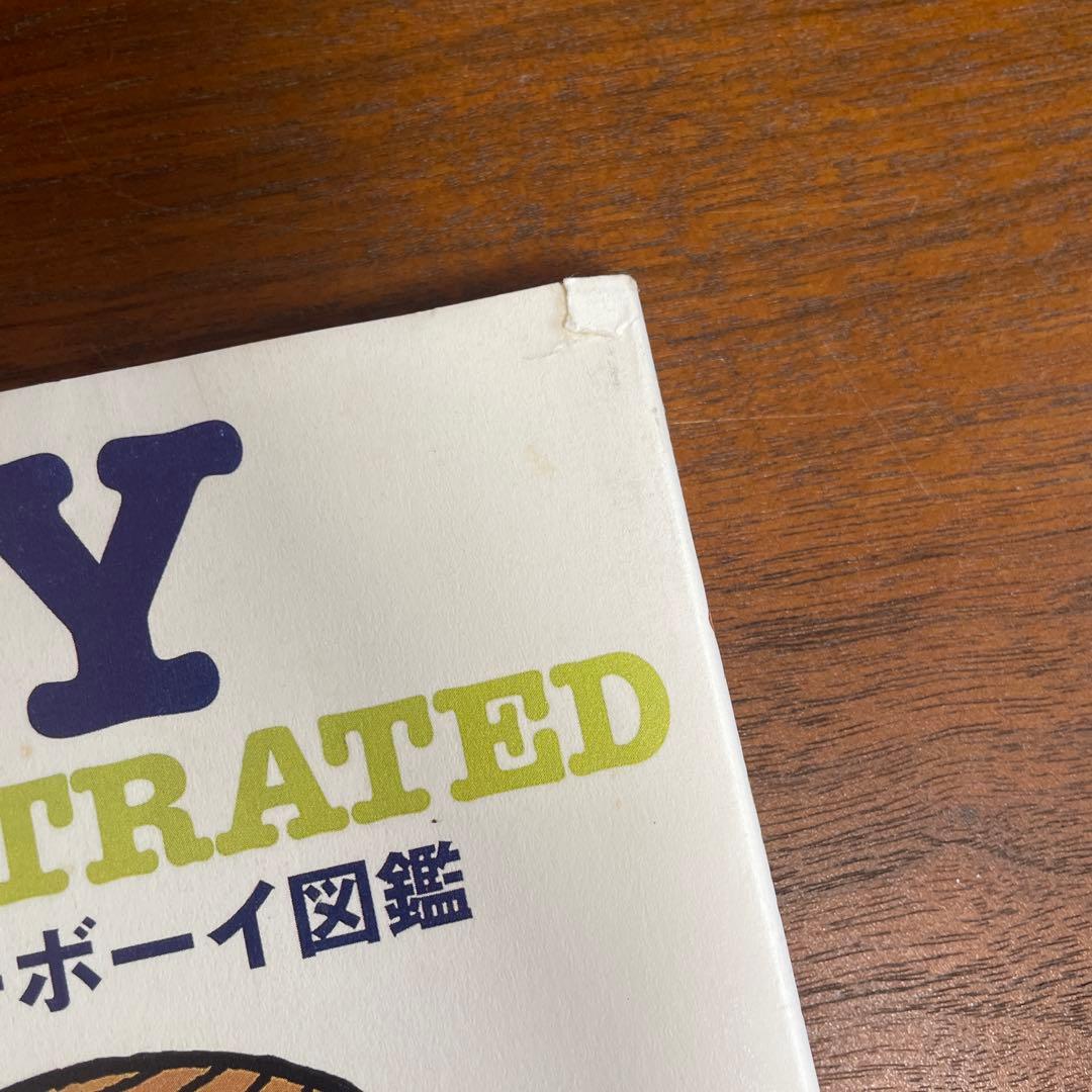 絶版！初期のアイビーボーイ図鑑ギャル復刻版2冊セット！新品大変貴重です。