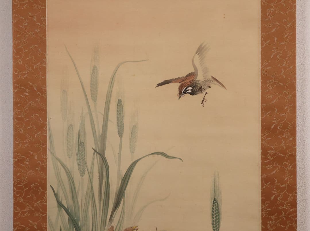 模写】日本画 益田楳岳 花鳥 雀 草花 絹本 掛軸 MB160 - メルカリ