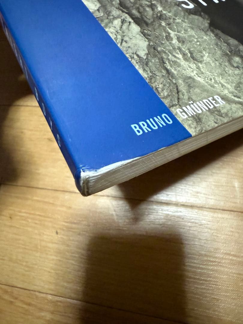 洋書 STRAIGHT BOYS