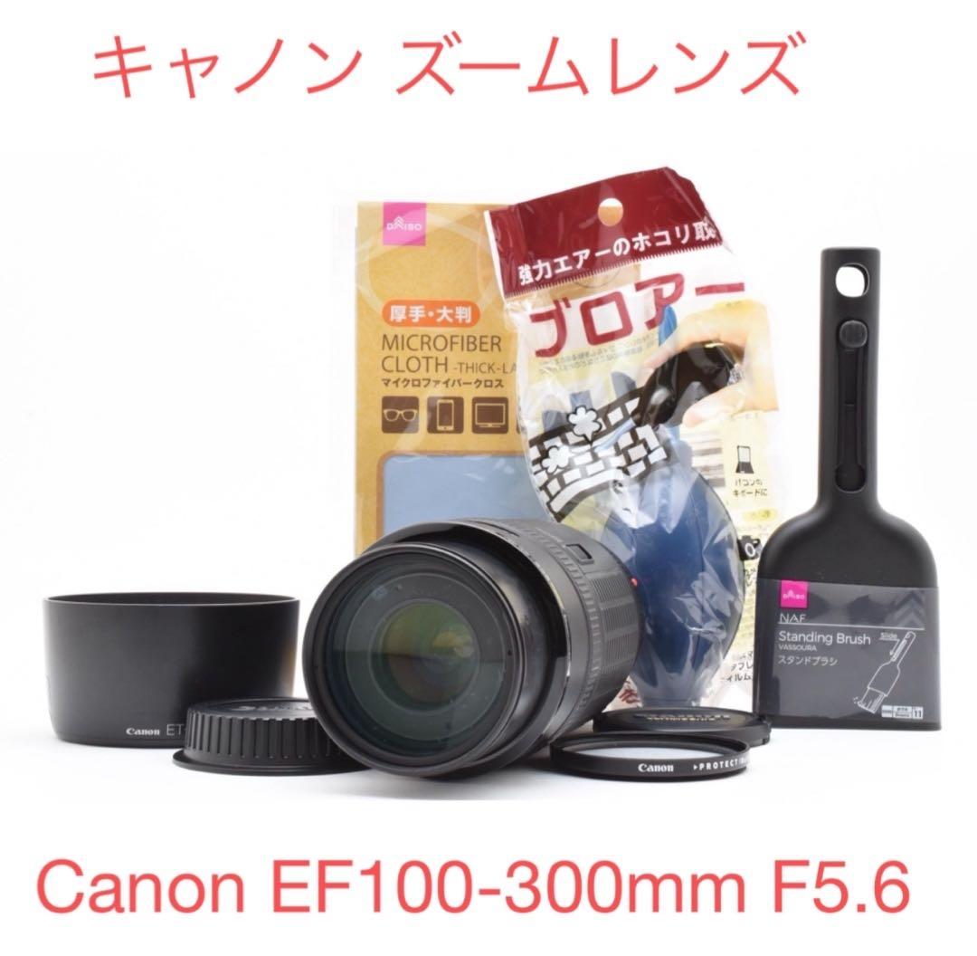 キャノン 望遠 ズームレンズ Canon EF100-300mm F5.6 Amazon.co.jp: Canon EF 100-300mm f/4.5-5.6 USM 望遠ズームレンズ
