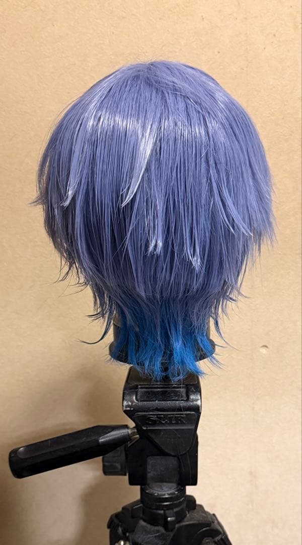 にじさんじ 小柳ロウ コスプレ ウィッグ - メルカリ