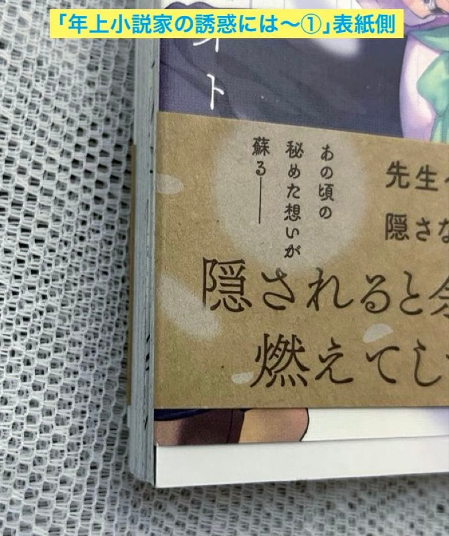 「年上小説家の誘惑には逆らえない〜1巻」