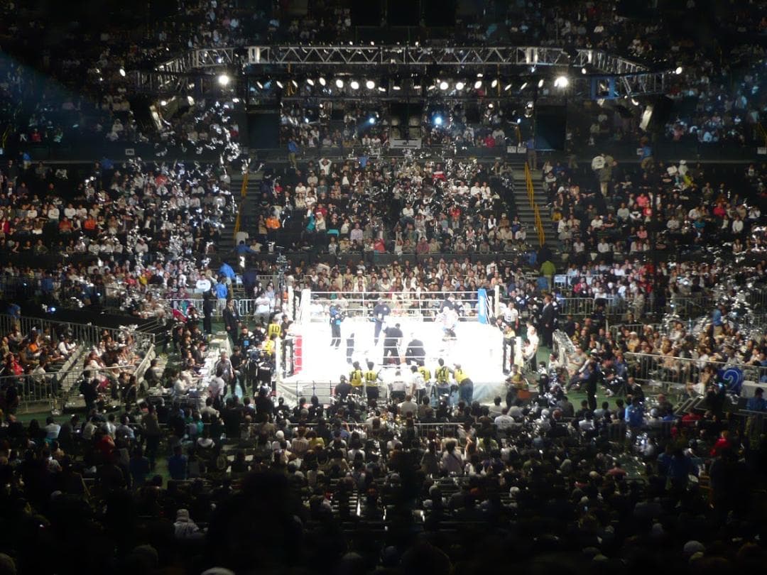 激レア】PRIDE・UFC ヴァンダレイ・シウバ サイン入りフィギア