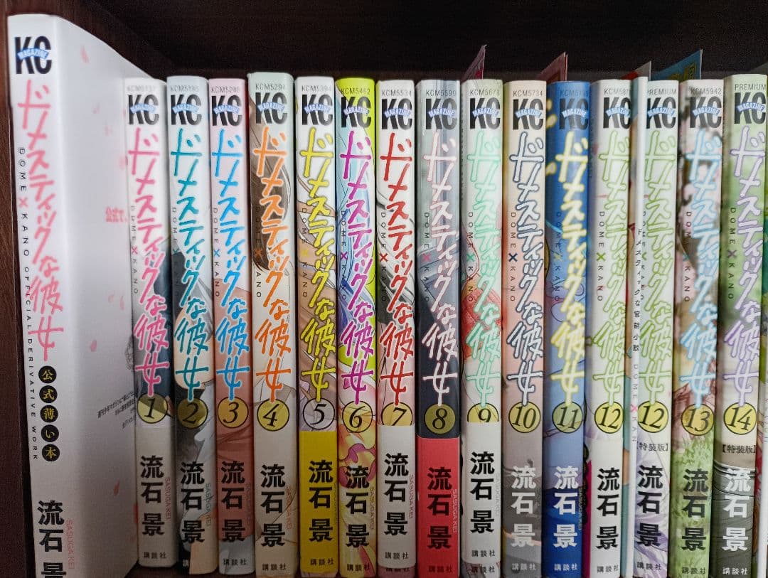 ドメスティックな彼女　1-28ほぼ初版