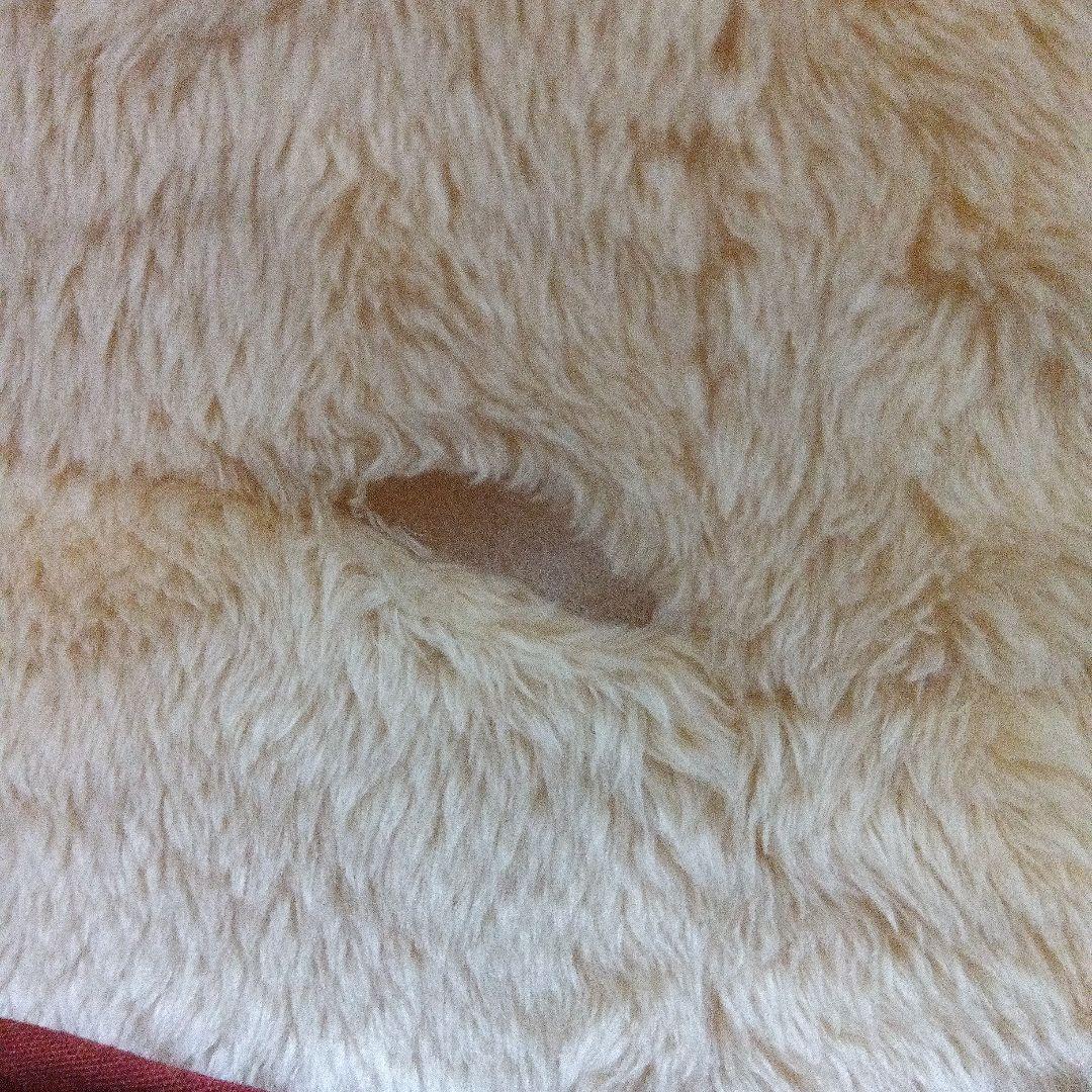 アイルー 等身大ぬいぐるみ セブンイレブン 1000体限定