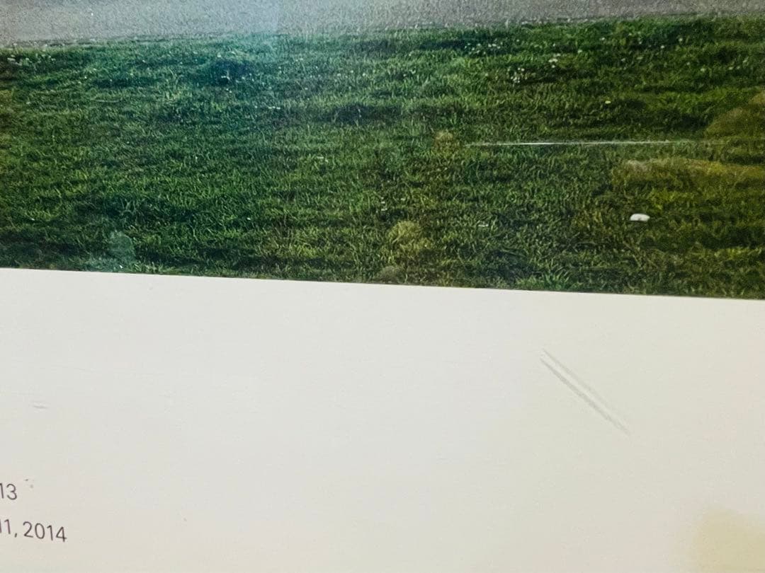 アンドレアス・グルスキー ライン川 II (展覧会限定ポスター) サイン