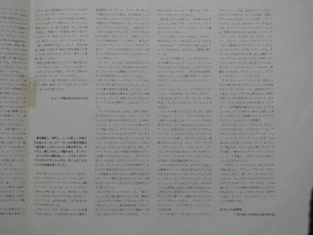 ポイズン「ポイズン・ダメージ」LPレコード 国内盤 帯付 - メルカリ