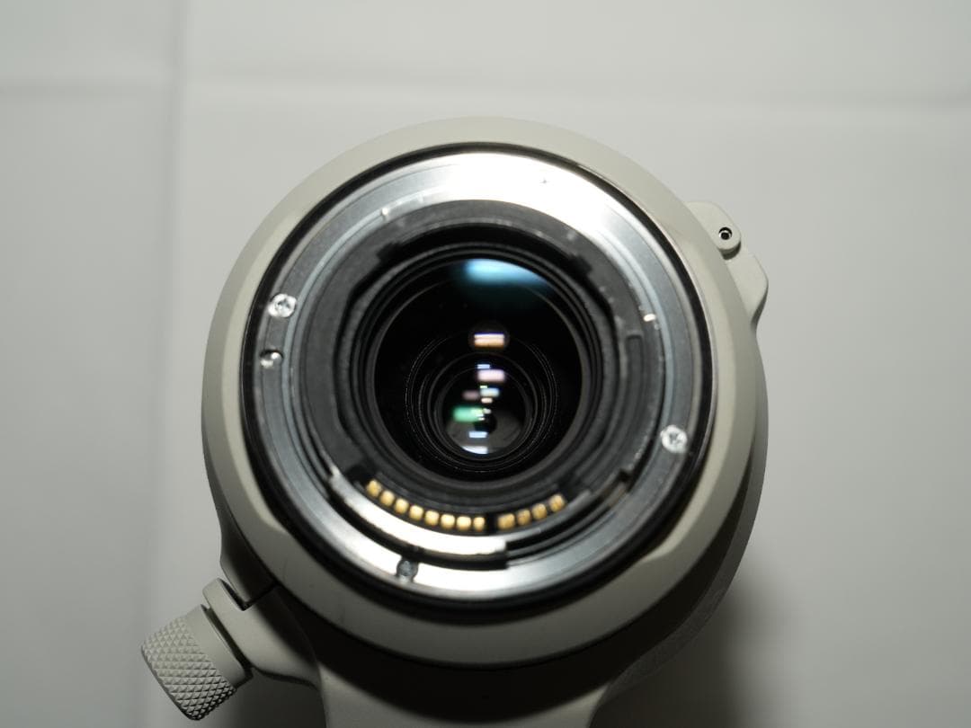 (美品)Canon RF 100-500mm F4.5-7.1 L IS USM