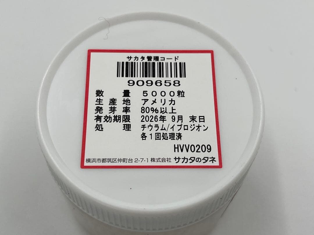 希少】大人気！ブロッコリー種子 （SK9-099 )5000粒